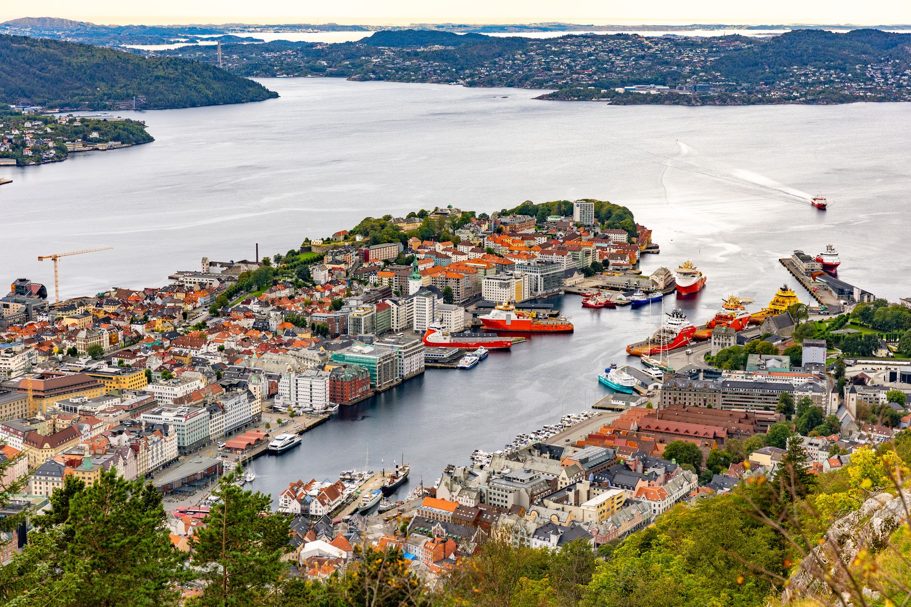 Early Morning Over Byfjorden